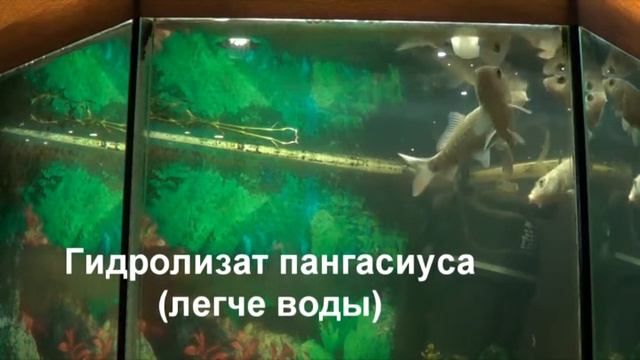 гидролизат смотреть онлайн