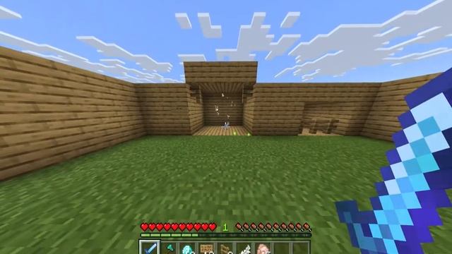 GET OUT MY ROOM I AM PLAYING MINECRAFT! смотреть онлайн