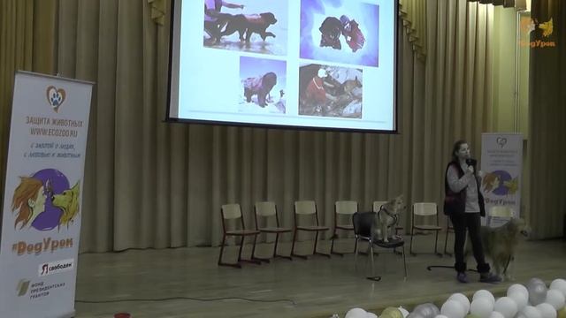 DogУрок №6 "Профессии собак" ч.2 смотреть онлайн