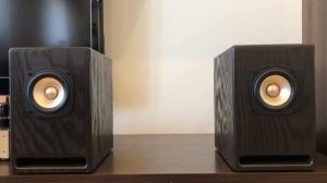 Акустика на динамиках AKISUI 4»