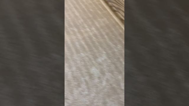 С дефектом !Коврик для кухни "Kitchen" смотреть онлайн