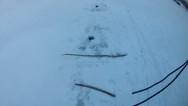 Как одному поставить перемёт .13.12.2021. смотреть онлайн