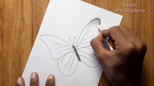 How to draw beautiful butterfly | Pencil sketch for beginners | Karabi arts academy смотреть онлайн