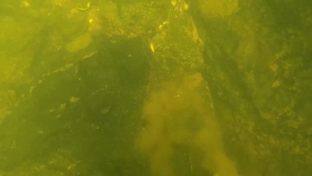 I Found a JUUL Underwater in the River While Scuba Diving! (River Treasure) смотреть онлайн