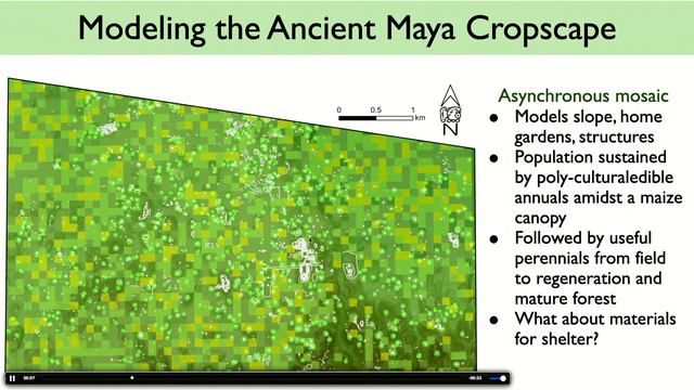 The Ancient Maya and their Forest: A Co-Creative Landscape смотреть онлайн