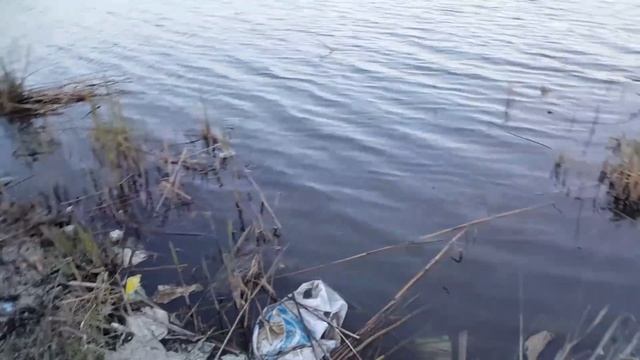 КАК ЛОВИТЬ РЫБУ ПРАВИЛЬНО ПОВЕЛО ПОВЕЛО смотреть онлайн