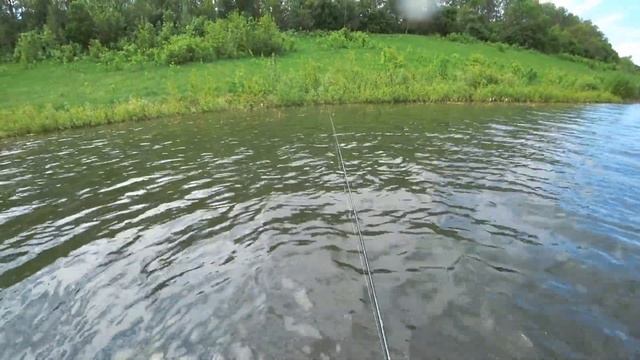 Трудовые окуни холодного июня Ловля окуня в Июне Рыбалка с плотика смотреть онлайн