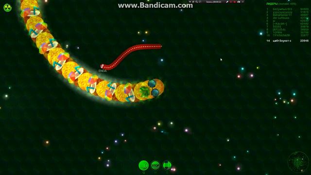 Занял 2 место в WORMAX.IO смотреть онлайн