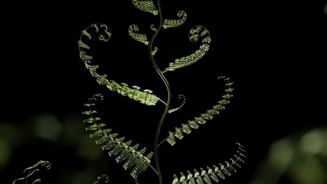 Мощная Всеисцеляющая Матрица Гаряева ☀️ Мощное Исцеление Всего Организма ☀️ Регенерация Всего Тела смотреть онлайн