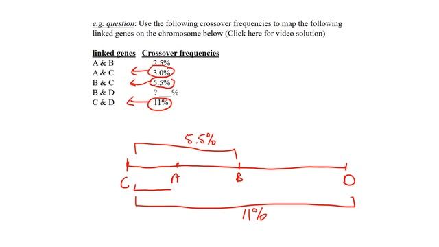 gene mapping 1 page 63 смотреть онлайн