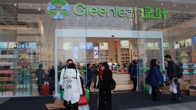 Знакомство с компанией Гринлиф