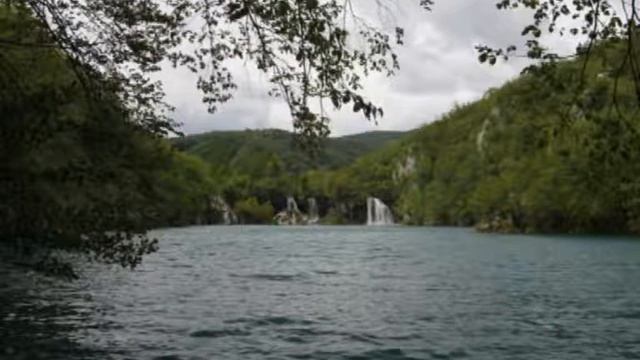 Цвергпинчер ВЛАДУШКА смотреть онлайн