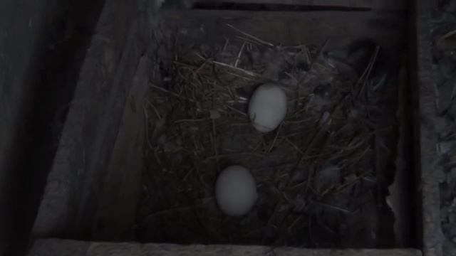 Чечня. Ведено. Последний старый дом. смотреть онлайн