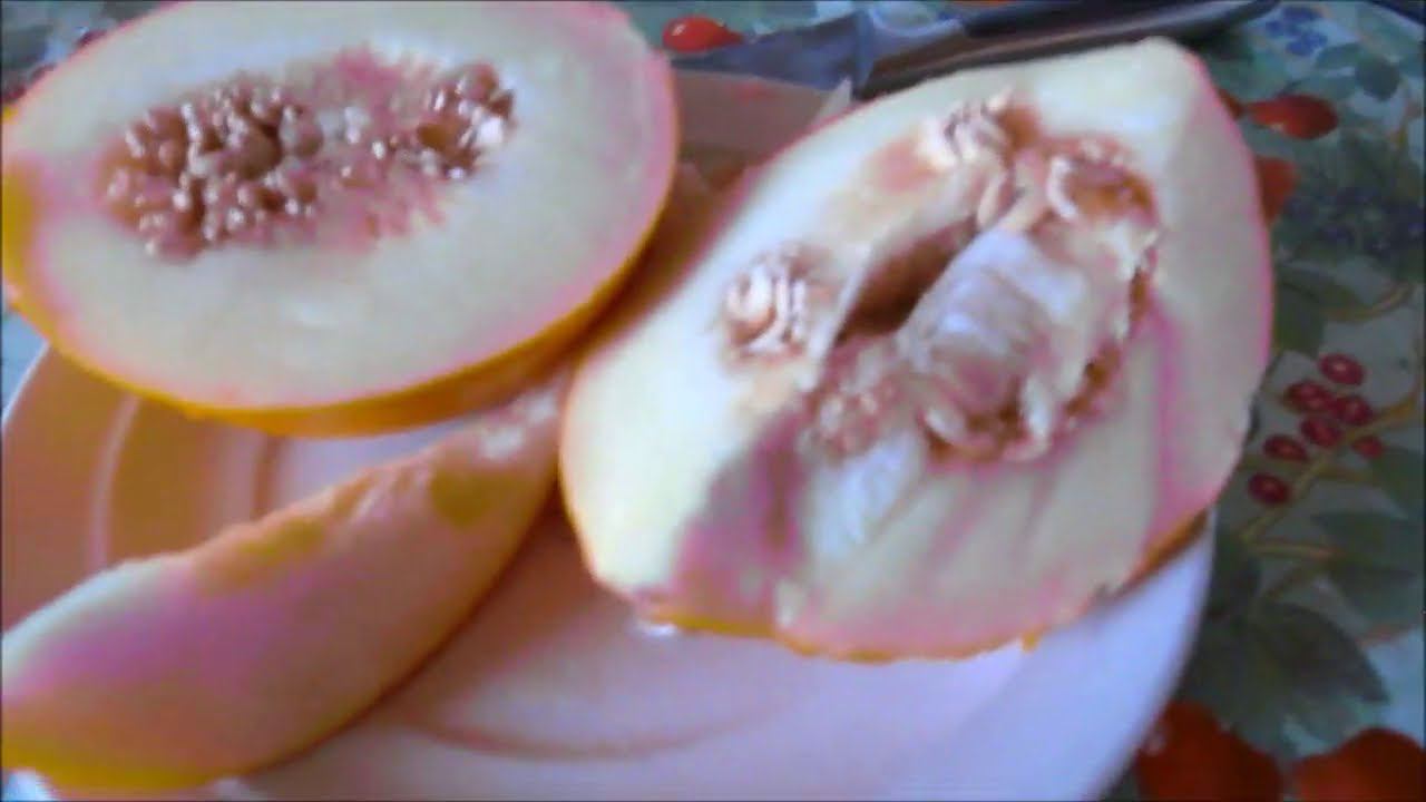 ДЫНИ В СИБИРИ. РАСТУТ!!!! ЖАРКОЕ ЛЕТО смотреть онлайн