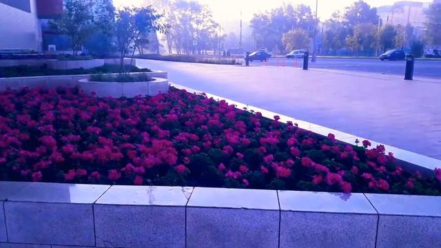 Каширская плаза смотреть онлайн