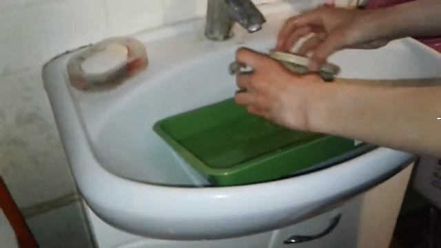 Мою клетку моих джунгариков. Как помыть клетку для хомяка? 1 часть. смотреть онлайн