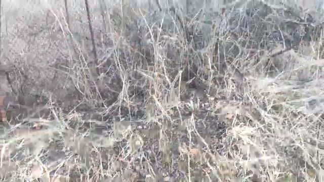 Заброшенная дача 2023/Уборка территории! 3 серия смотреть онлайн