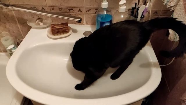 Лаки чудит смотреть онлайн