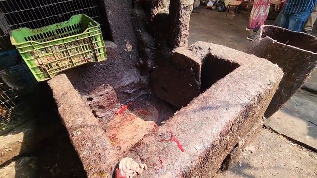 ОСТОРОЖНО, НЕ ДЛЯ СЛАБОНЕРВНЫХ. ЖУТКИЙ МЯСНОЙ РЫНОК В ИНДИИ, ПОВСЮДУ КРЫСЫ И ТАРАКАНЫ, АНТИСАНИТАРИ