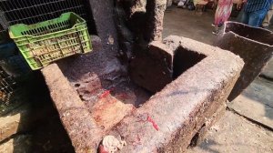 ОСТОРОЖНО, НЕ ДЛЯ СЛАБОНЕРВНЫХ. ЖУТКИЙ МЯСНОЙ РЫНОК В ИНДИИ, ПОВСЮДУ КРЫСЫ И ТАРАКАНЫ, АНТИСАНИТАРИ