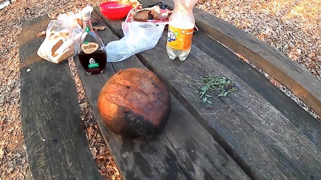 VLOG. ПИКНИК НА ПРИРОДЕ. смотреть онлайн