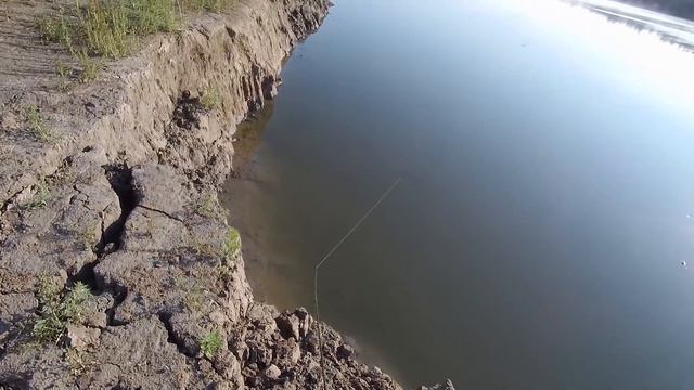 Рыбалка на Иртыше в Конце Августа, Риппа в деле... (часть вторая) #рыбалкаскомфортом #клеваярыбалка смотреть онлайн