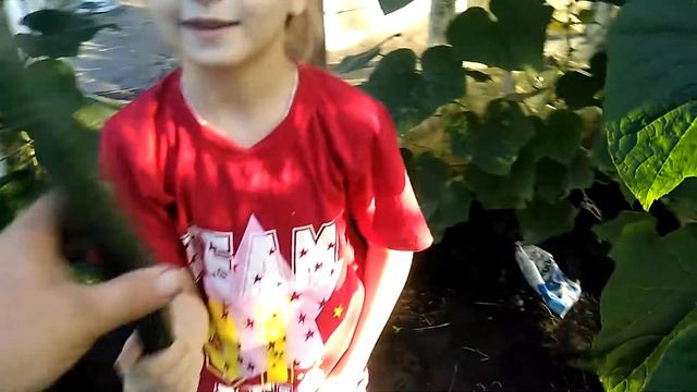 ОГУРЦЫ, СОЛДАТСКИЕ !!!! смотреть онлайн