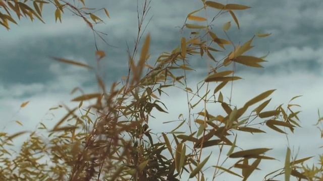 Создание вашей собственной реальности