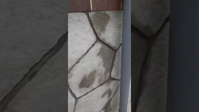 отделка цоколя дома.РнД.09.11.22 смотреть онлайн