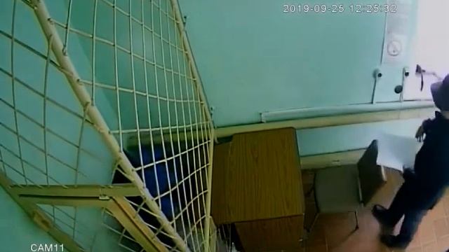 Не понравился следователь: житель Мордовии разорвал свое уголовное дело на мелкие кусочки смотреть онлайн