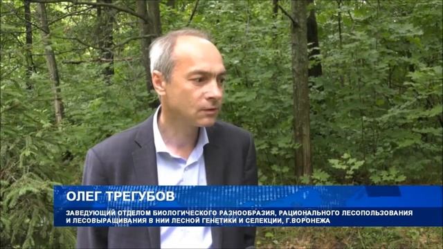 Минсельхоз неправильно поняли. Почему в России не получается контролировать сбор ягод и грибов. смотреть онлайн