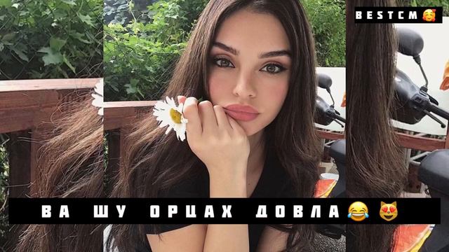 Шуточная Чеченская Новая Песня😂😻Ва Шу Орцах Довла Веана Волуш Вац Хи Чу Веттаг смотреть онлайн
