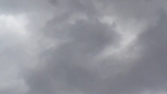 Истории из жизни кур: Цветные молодки смотреть онлайн