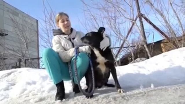 Эрнест смотреть онлайн