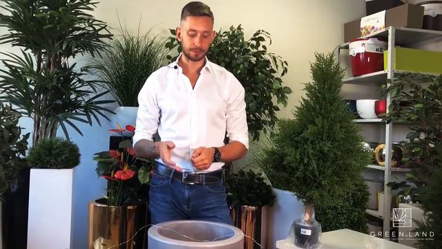 Как закрепить иск.растение в кашпо