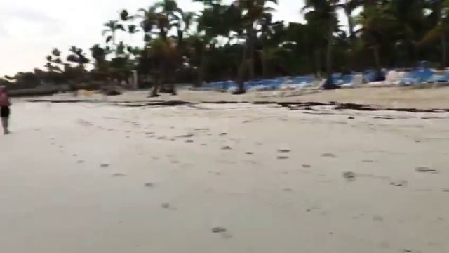 На берегу океана смотреть онлайн