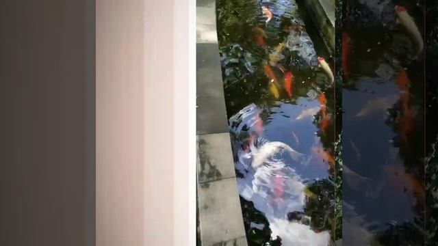 Бали. Йога-тур и путешествие. Часть 1. смотреть онлайн