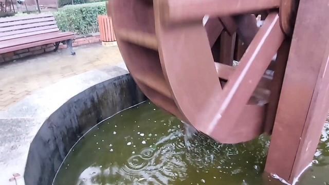 Шведский стол для кошек . ЗЕЛЕНОГРАДСК. Уехали туристы. Море цвета неба смотреть онлайн