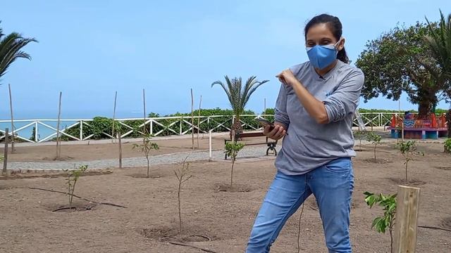 Jardín de Innovaciones y Tecnologías de Israel en el distrito de Magdalena смотреть онлайн