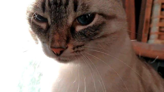 Лето бабье - работают женщины смотреть онлайн