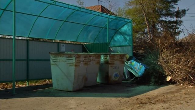 Как утилизировать обрезанные ветки деревьев и почему их не вывозят с контейнерных площадок? смотреть онлайн