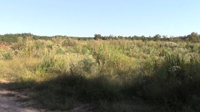 Go With Me Into A Restricted Area And Watch A Bull Dozer Remove Overburden At The NEW Diamond Mine смотреть онлайн