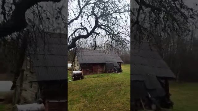 обзор двора на хуторе в Литве смотреть онлайн