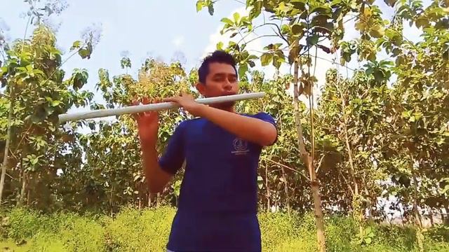 Flute and Song Radha Krishna ANTV смотреть онлайн