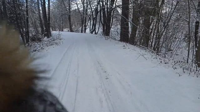 Покатушки на снегоходе Dingo  открытие сезона 2021-2022