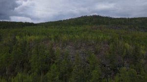 Мамакан Окрестности   05 06 2022