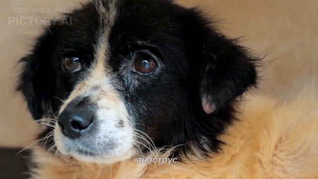 Искусство Руками