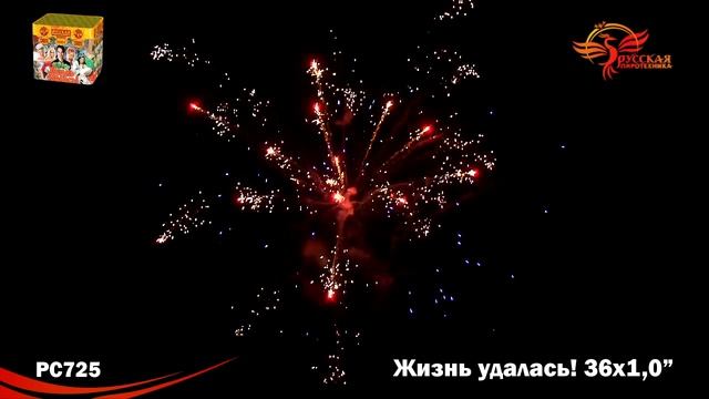 ЖИЗНЬ УДАЛАСЬ! PC725 смотреть онлайн