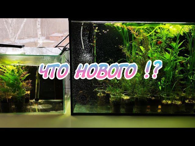 ЧТО НОВОГО !? смотреть онлайн