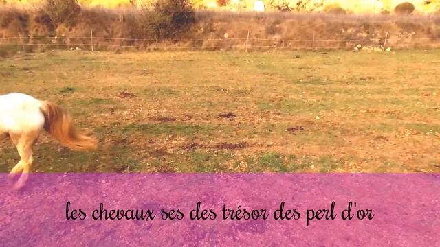 les chevaux ses des perl d'or смотреть онлайн